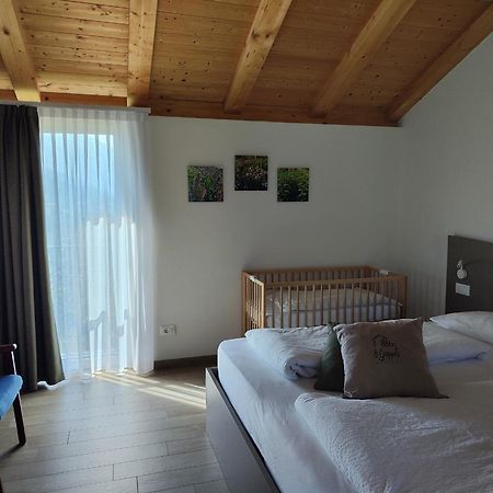 8 Grappoli Agritur Villa Trento Eksteriør billede