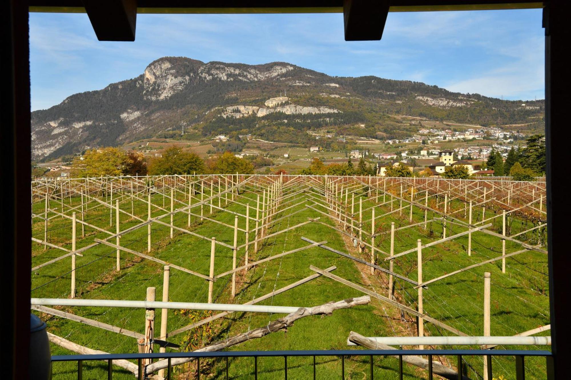 8 Grappoli Agritur Villa Trento Eksteriør billede